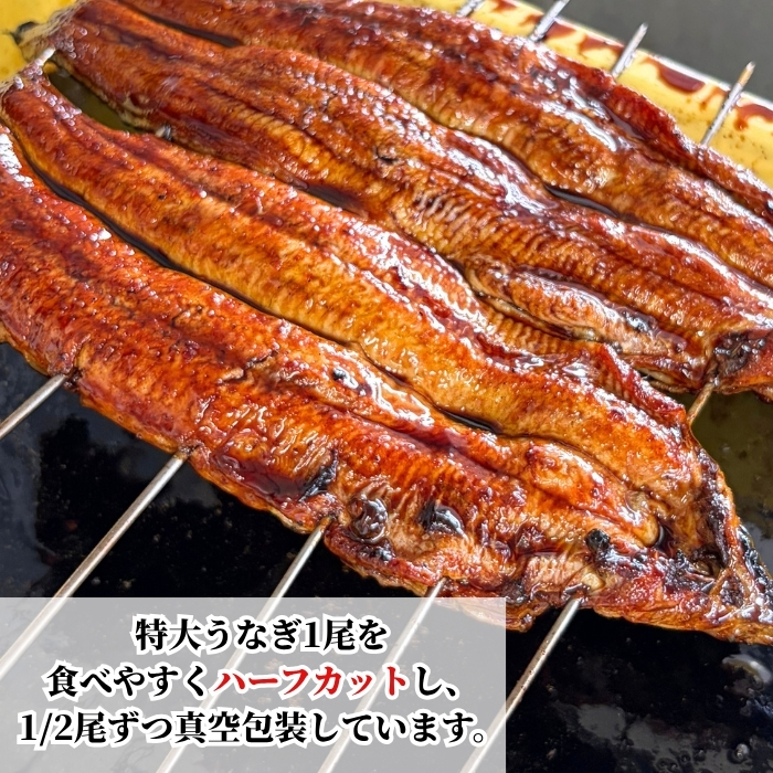 国産 うなぎ 蒲焼 三河一色産 カット済み 2～8パック 秘伝のタレ・ひつまぶし用出汁付 鰻 ハーフカット 簡単 便利 調理 人気 おすすめ 愛知県 南知多町